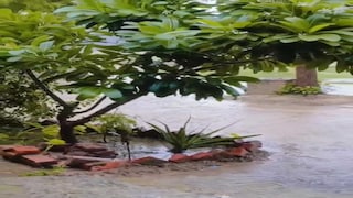 Amethi Weather Update: अमेठी में देर रात से झमाझम बारिश, किसानों के खिले चेहरे, धान की रोपाई में जुटे किसान, कच्चे मकानों पर मंडराया खतरा अमेठी में देर रात से झमाझम बारिश: किसानों के खिले चेहरे, धान की रोपाई में जुटे किसान, कच्चे मकानों पर मंडराया खतरा