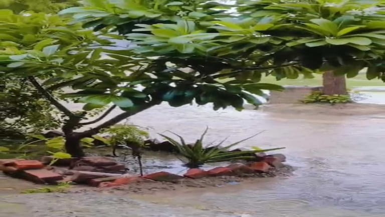 Amethi Weather Update: अमेठी में देर रात से झमाझम बारिश, किसानों के खिले चेहरे, धान की रोपाई में जुटे किसान, कच्चे मकानों पर मंडराया खतरा अमेठी में देर रात से झमाझम बारिश: किसानों के खिले चेहरे, धान की रोपाई में जुटे किसान, कच्चे मकानों पर मंडराया खतरा