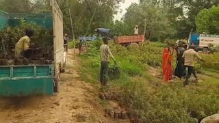 Amethi News: इस तारीख को अमेठी में लगेगा 53.66 लाख पौधों का हरित महाअभियान, तैयारियां अंतिम चरण में इस तारीख को अमेठी में लगेगा 53.66 लाख पौधों का हरित महाअभियान, तैयारियां अंतिम चरण में