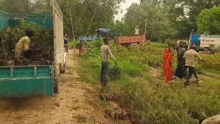 Amethi News: इस तारीख को अमेठी में लगेगा 53.66 लाख पौधों का हरित महाअभियान, तैयारियां अंतिम चरण में इस तारीख को अमेठी में लगेगा 53.66 लाख पौधों का हरित महाअभियान, तैयारियां अंतिम चरण में