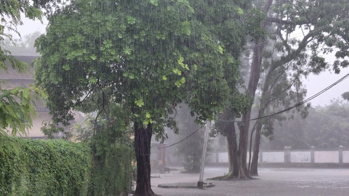 Ballia Weather News: बलिया में झमाझम बारिश ने दी राहत, खेतों को मिली संजीवनी, जलभराव से शहर की सड़कें बनीं तालाब बलिया में झमाझम बारिश ने दी राहत, खेतों को मिली संजीवनी, जलभराव से शहर की सड़कें बनीं तालाब