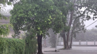 Ballia Weather News: बलिया में झमाझम बारिश ने दी राहत, खेतों को मिली संजीवनी, जलभराव से शहर की सड़कें बनीं तालाब बलिया में झमाझम बारिश ने दी राहत, खेतों को मिली संजीवनी, जलभराव से शहर की सड़कें बनीं तालाब