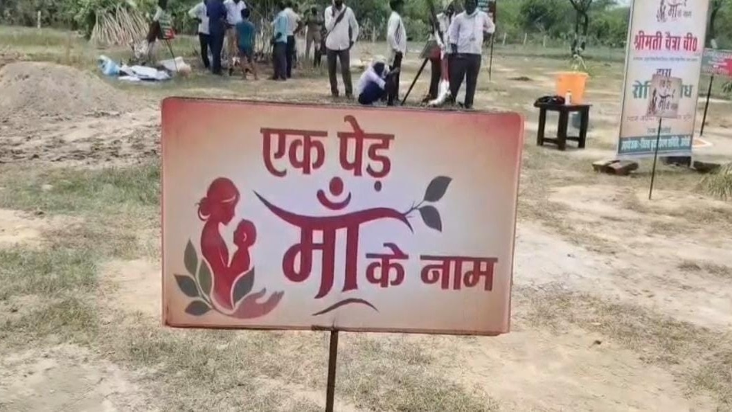 हरियाली की ओर अमेठी की ऐतिहासिक छलांग, एक पेड़ मां के नाम अभियान में 53 लाख पौधों का लक्ष्य