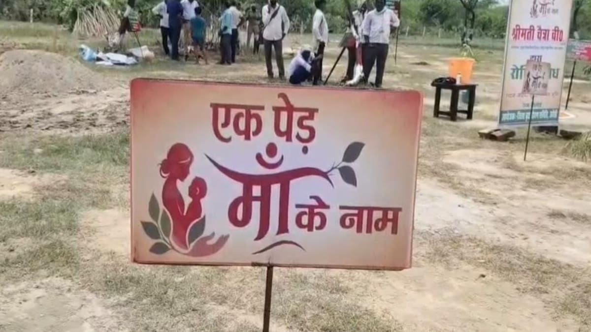 Amethi News: हरियाली की ओर अमेठी की ऐतिहासिक छलांग, एक पेड़ मां के नाम अभियान में 53 लाख पौधों का लक्ष्य हरियाली की ओर अमेठी की ऐतिहासिक छलांग, एक पेड़ मां के नाम अभियान में 53 लाख पौधों का लक्ष्य
