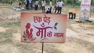 Amethi News: हरियाली की ओर अमेठी की ऐतिहासिक छलांग, एक पेड़ मां के नाम अभियान में 53 लाख पौधों का लक्ष्य हरियाली की ओर अमेठी की ऐतिहासिक छलांग, एक पेड़ मां के नाम अभियान में 53 लाख पौधों का लक्ष्य
