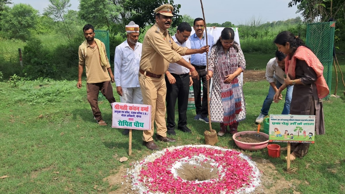 गोण्डा ने पूरा किया 42.54 लाख पौधारोपण का लक्ष्य, जनभागीदारी से हरित भविष्य की मजबूत नींव 