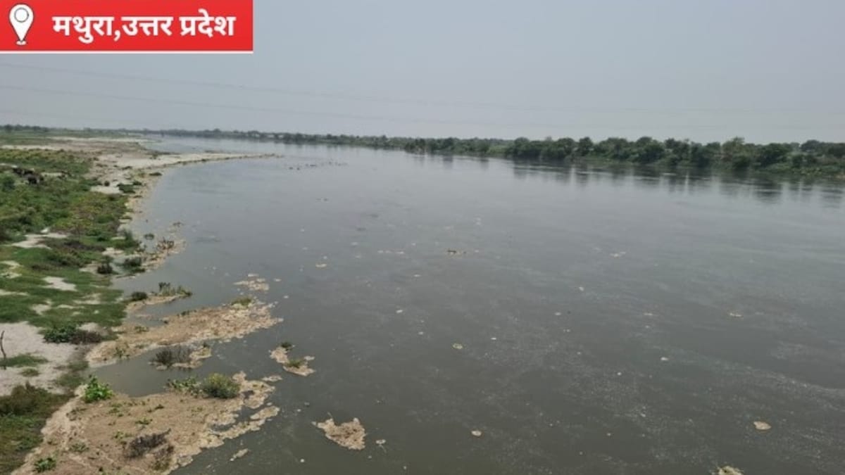 Mathura News: यमुना का बढ़ा जलस्तर, हथिनीकुंड से छोड़े गए पानी का असर, फरह क्षेत्र में दोनों किनारों तक पहुंचा यमुना का जल यमुना का बढ़ा जलस्तर, हथिनीकुंड से छोड़े गए पानी का असर, फरह क्षेत्र में दोनों किनारों तक पहुंचा यमुना का जल