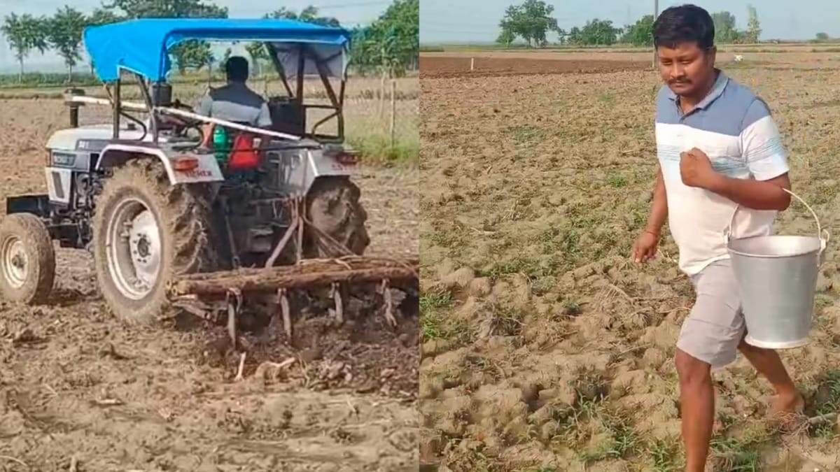 Ballia Monsoon Update: मानसून की बेरुखी से बलिया में खेती पर संकट, बारिश के इंतजार में किसान मानसून की बेरुखी से बलिया में खेती पर संकट, बारिश के इंतजार में किसान