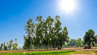 Barabanki Weather News: बादल आते हैं, बरसते नहीं, बाराबंकी में मानसून की सुस्ती से बढ़ी किसानों की चिंता, धान की फसल को बारिश का इंतजार बादल आते हैं, बरसते नहीं, बाराबंकी में मानसून की सुस्ती से बढ़ी किसानों की चिंता, धान की फसल को बारिश का इंतजार