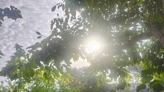 Mathura Weather update: मथुरा में बारिश ने लिया ब्रेक, अब कब बरसेंगे बादल? IMD ने दिया बड़ा संकेत मथुरा में बारिश ने लिया ब्रेक, अब कब बरसेंगे बादल? IMD ने दिया बड़ा संकेत