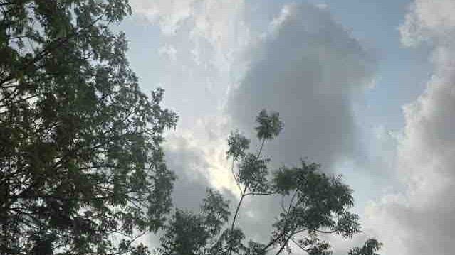 Raebareli Monsoon Update: हाँफ गए कूलर-पंखे, रायबरेली में उमस ने किया जीना मुहाल, जेब पर भारी पड़ रही धान की रोपाई