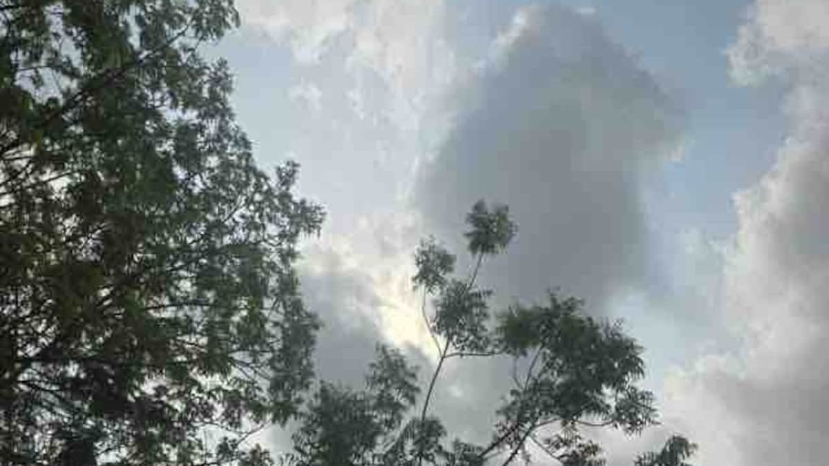Raebareli Monsoon Update: हाँफ गए कूलर-पंखे, रायबरेली में उमस ने किया जीना मुहाल, जेब पर भारी पड़ रही धान की रोपाई हाँफ गए कूलर-पंखे, रायबरेली में उमस ने किया जीना मुहाल, जेब पर भारी पड़ रही धान की रोपाई