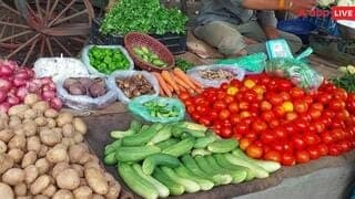 Raebareli Mandi Bhav Today: रायबरेली में रसोई पर 'महंगाई का डाका', टमाटर लाल, मिर्च के बदले तेवर, जेब खाली कर रही फुटकर बाजार की लूट रायबरेली में रसोई पर 'महंगाई का डाका', टमाटर लाल, मिर्च के बदले तेवर, जेब खाली कर रही फुटकर बाजार की लूट