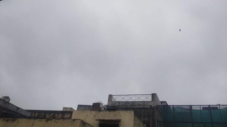 Mathura Weather Update: मथुरा में आज बादलों की आवाजाही के बीच उमस, हल्की बारिश के आसार, जानिए आज का तापमान मथुरा में आज बादलों की आवाजाही के बीच उमस, हल्की बारिश के आसार, जानिए आज का तापमान