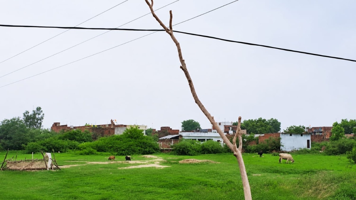  रायबरेली में बिजली विभाग की बड़ी लापरवाही, बांस-बल्लियों के सहारे दौड़ रहा करंट, एक दर्जन गांवों पर हादसे का खतरा