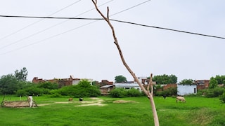 Raebareli News: रायबरेली में बिजली विभाग की बड़ी लापरवाही, बांस-बल्लियों के सहारे दौड़ रहा करंट, एक दर्जन गांवों पर हादसे का खतरा रायबरेली में बिजली विभाग की बड़ी लापरवाही, बांस-बल्लियों के सहारे दौड़ रहा करंट, एक दर्जन गांवों पर हादसे का खतरा