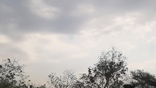 Raebareli Weather Today: उमस से लोग बेहाल, आसमान में छाए काले बादल, आज झमाझम बारिश के आसार उमस से लोग बेहाल, आसमान में छाए काले बादल, आज झमाझम बारिश के आसार