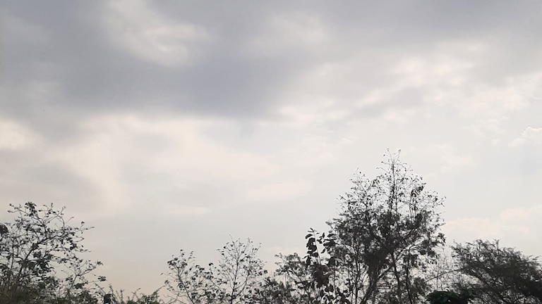 Raebareli Weather Today: उमस से लोग बेहाल, आसमान में छाए काले बादल, आज झमाझम बारिश के आसार उमस से लोग बेहाल, आसमान में छाए काले बादल, आज झमाझम बारिश के आसार