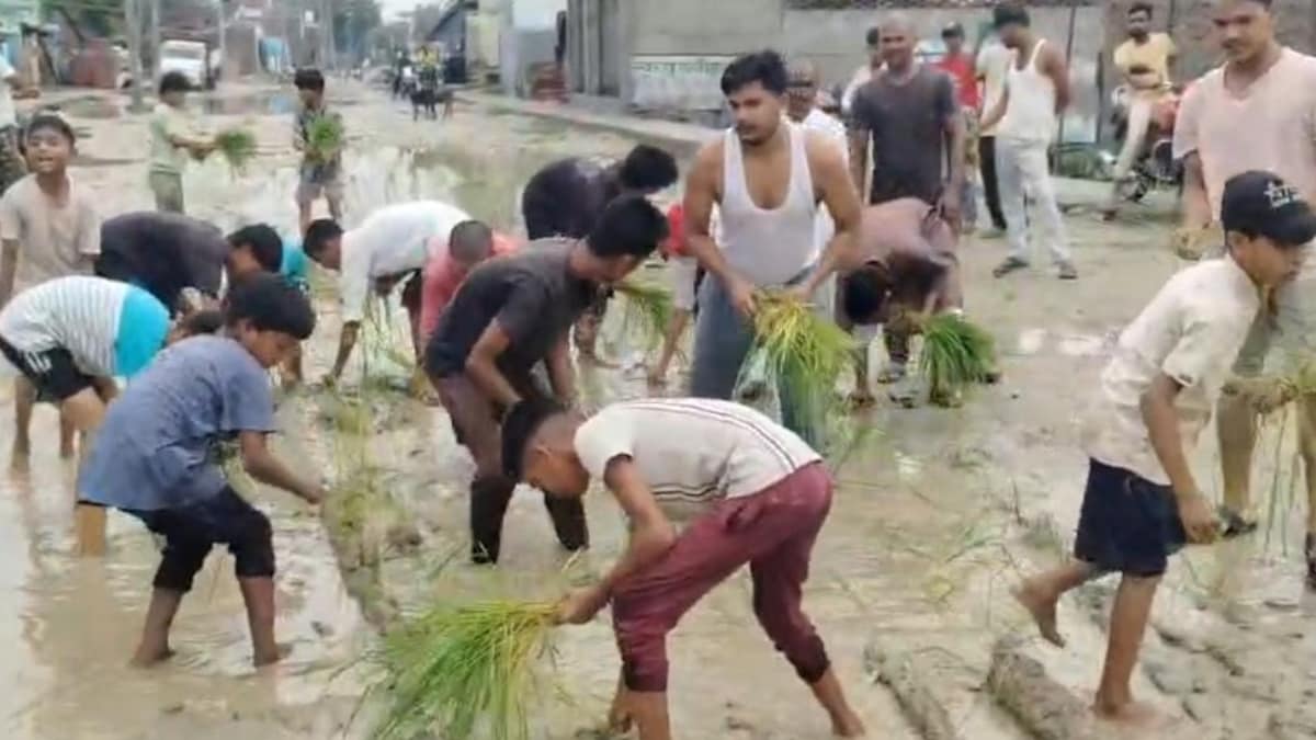 Sitapur News: सड़क बनी तालाब तो लोगों ने वहीं कर दी धान की रोपाई, जलभराव के खिलाफ अनोखा प्रदर्शन सड़क बनी तालाब तो लोगों ने वहीं कर दी धान की रोपाई, जलभराव के खिलाफ अनोखा प्रदर्शन