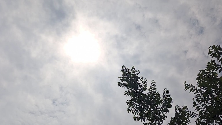 Mathura Weather Today: मथुरा में आज बादलों का डेरा, रुक-रुक कर बारिश के आसार, उमस से मिलेगी राहत मथुरा में आज बादलों का डेरा, रुक-रुक कर बारिश के आसार, उमस से मिलेगी राहत