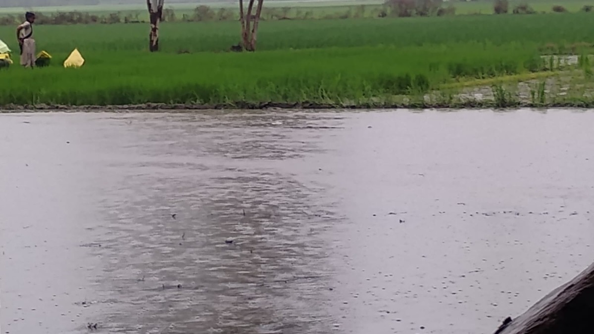 Barabanki News: खेतों में पानी, किसानों में उम्मीद, झमाझम बारिश से धान की खेती को बड़ा सहारा, लेकिन गांव की कच्ची सड़कें बनीं आफत