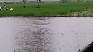 Barabanki News: खेतों में पानी, किसानों में उम्मीद, झमाझम बारिश से धान की खेती को बड़ा सहारा, लेकिन गांव की कच्ची सड़कें बनीं आफत खेतों में पानी, किसानों में उम्मीद, झमाझम बारिश से धान की खेती को बड़ा सहारा, लेकिन गांव की कच्ची सड़कें बनीं आफत
