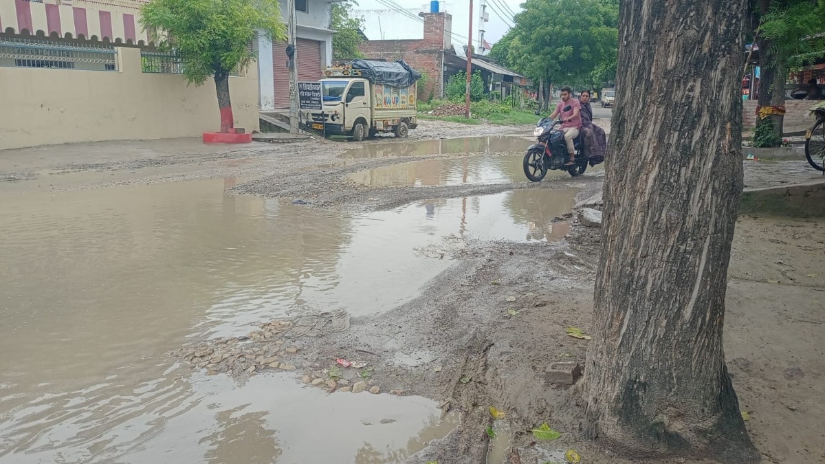 Amethi Weather News: अमेठी में रिमझिम बारिश से लुढ़का पारा, उमस से मिली राहत, किसानों में बढ़ी उम्मीद अमेठी में रिमझिम बारिश से लुढ़का पारा, उमस से मिली राहत, किसानों में बढ़ी उम्मीद