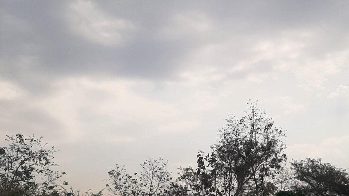 Raebareli Weather Update: रायबरेली में फुहारों से सुहाना हुआ मौसम, दिनभर बादलों के डेरे के बीच गिरा पारा, आज भी बारिश के आसार रायबरेली में फुहारों से सुहाना हुआ मौसम, दिनभर बादलों के डेरे के बीच गिरा पारा, आज भी बारिश के आसार