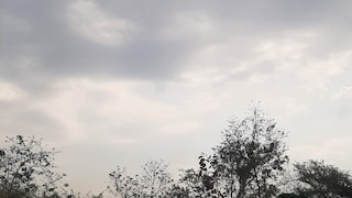 Raebareli Weather Update: रायबरेली में फुहारों से सुहाना हुआ मौसम, दिनभर बादलों के डेरे के बीच गिरा पारा, आज भी बारिश के आसार रायबरेली में फुहारों से सुहाना हुआ मौसम, दिनभर बादलों के डेरे के बीच गिरा पारा, आज भी बारिश के आसार