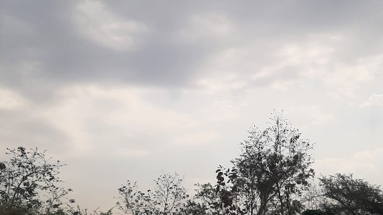 Raebareli Weather Update: रायबरेली में फुहारों से सुहाना हुआ मौसम, दिनभर बादलों के डेरे के बीच गिरा पारा, आज भी बारिश के आसार रायबरेली में फुहारों से सुहाना हुआ मौसम, दिनभर बादलों के डेरे के बीच गिरा पारा, आज भी बारिश के आसार