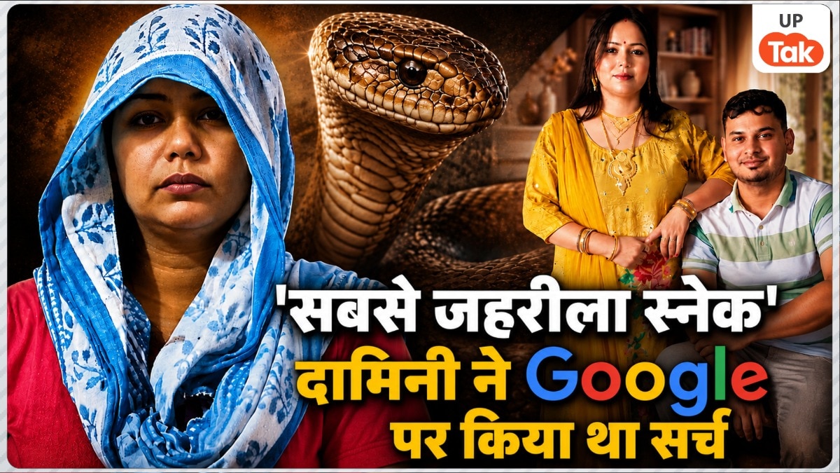 पति को दर्दनाक मौत देने से पहले मेरठ की दामिनी ने Google पर सर्च किया था 'सबसे जहरीला स्नेक', फिर मंगवाया ये सांप 