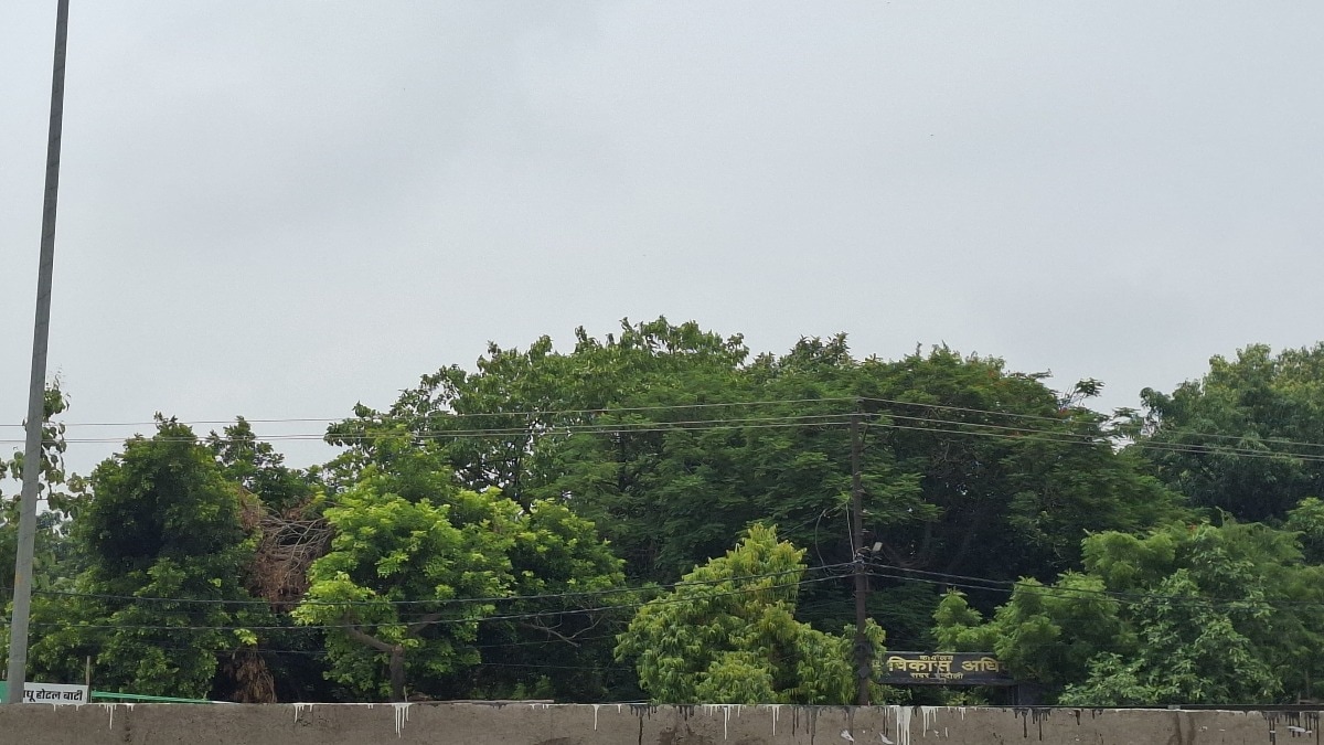 Chandauli Weather Today: मुगलसराय में बादलों की आवाजाही के बीच उमस ने बढ़ाई मुश्किलें, गर्मी से लोग बेहाल मुगलसराय में बादलों की आवाजाही के बीच उमस ने बढ़ाई मुश्किलें, गर्मी से लोग बेहाल