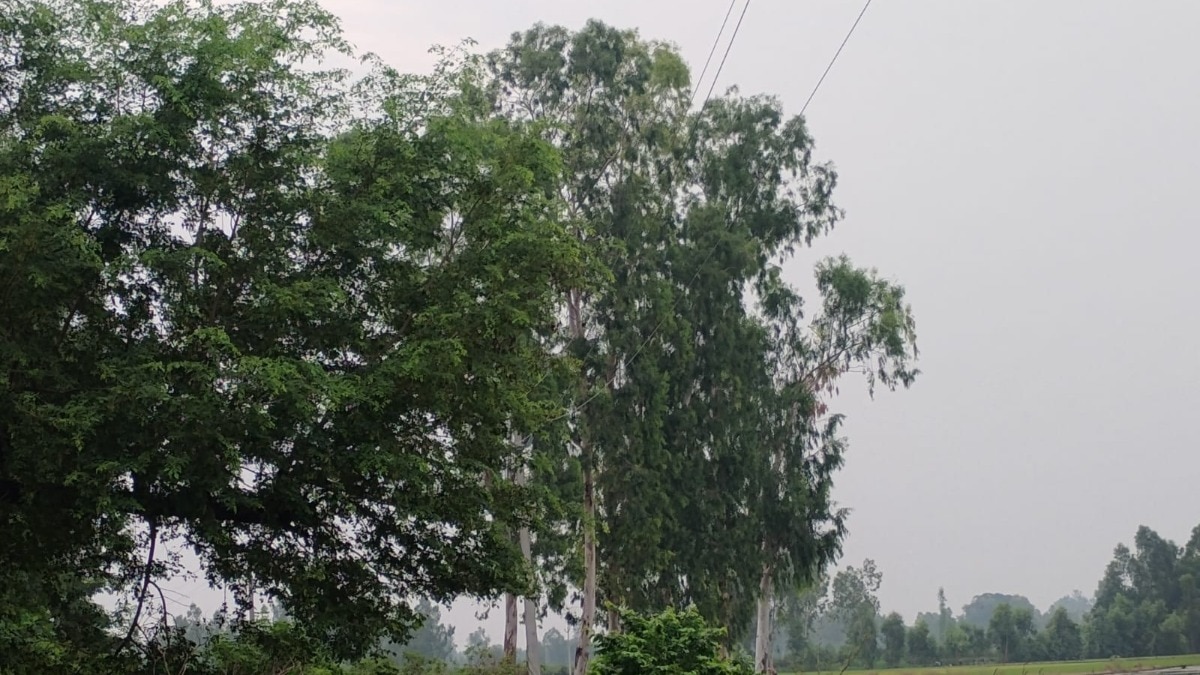 Barabanki Weather Update: बाराबंकी में मौसम रहा सुहावना, गर्मी और उमस से लोगों को मिली राहत, किसानों को मिलेगा फायदा 