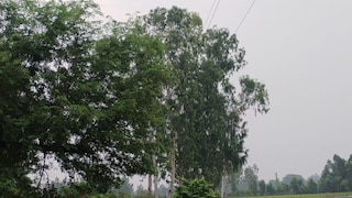 Barabanki Weather Update: बाराबंकी में मौसम रहा सुहावना, गर्मी और उमस से लोगों को मिली राहत, किसानों को मिलेगा फायदा बाराबंकी में मौसम रहा सुहावना, गर्मी और उमस से लोगों को मिली राहत, किसानों को मिलेगा फायदा