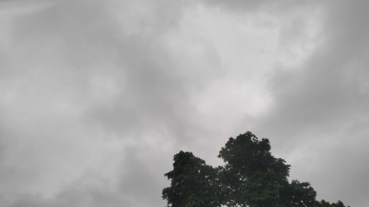 Raebareli Weather Update: धान की फसल के लिए 'अमृत' बनी बारिश, रायबरेली में मानसून हुआ मेहरबान, खेतों में लौटी रौनक धान की फसल के लिए 'अमृत' बनी बारिश, रायबरेली में मानसून हुआ मेहरबान, खेतों में लौटी रौनकर्ज