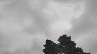 Raebareli Weather Update: धान की फसल के लिए 'अमृत' बनी बारिश, रायबरेली में मानसून हुआ मेहरबान, खेतों में लौटी रौनक धान की फसल के लिए 'अमृत' बनी बारिश, रायबरेली में मानसून हुआ मेहरबान, खेतों में लौटी रौनकर्ज