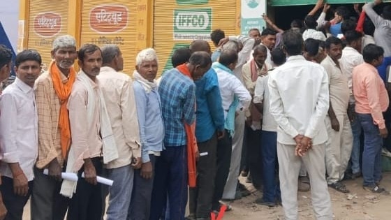 रायबरेली में यूरिया के लिए सुबह से शाम तक लाइन में किसान, फार्मर रजिस्ट्री और सर्वर डाउन से बढ़ी परेशानी