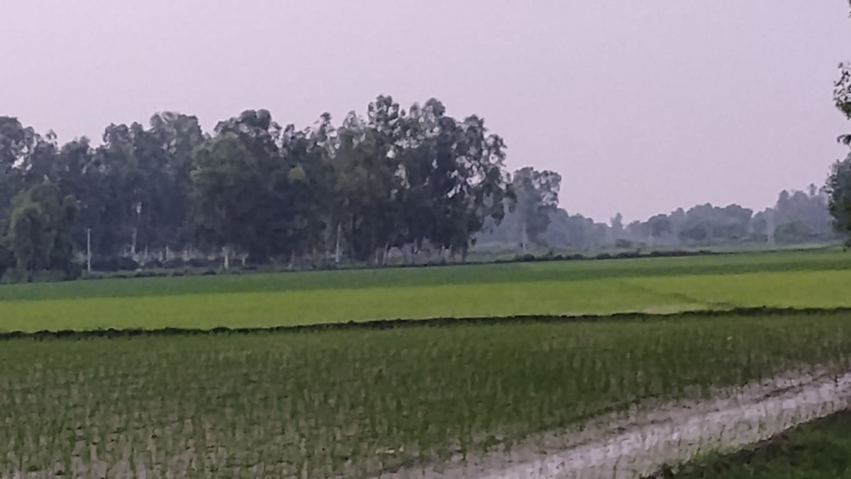 बाराबंकी में हल्की बारिश से बदला मौसम का मिजाज, गर्मी-उमस से मिली राहत, खरीफ की फसलों के लिए लाभदायक 
