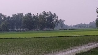 Barabanki Weather Update: बाराबंकी में हल्की बारिश से बदला मौसम का मिजाज, गर्मी-उमस से मिली राहत, खरीफ की फसलों के लिए लाभदायक बाराबंकी में हल्की बारिश से बदला मौसम का मिजाज, गर्मी-उमस से मिली राहत, खरीफ की फसलों के लिए लाभदायक