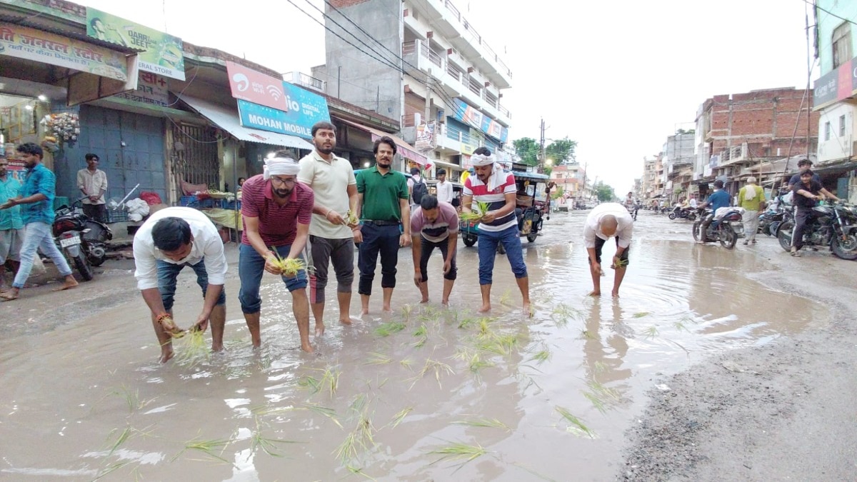 बलिया में अजब-गजब विरोध! सीवर की खुदाई से त्रस्त लोगों ने गड्ढों में रोपा धान, बोले- मोहनजोदड़ो जैसी हो गई है सड़