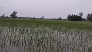 Barabanki Weather News: झमाझम बारिश से बदला मौसम, गर्मी से राहत; किसानों के खिले चेहरे झमाझम बारिश से बदला मौसम, गर्मी से राहत; किसानों के खिले चेहरे