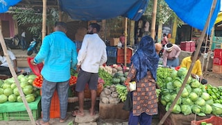 Chandauli Mandi Bhav: शनिवार को मुगलसराय मंडी में सब्जियों के दाम स्थिर, टमाटर समेत हरी सब्जियों की मांग बढ़ी शनिवार को मुगलसराय मंडी में सब्जियों के दाम स्थिर, टमाटर समेत हरी सब्जियों की मांग बढ़ी