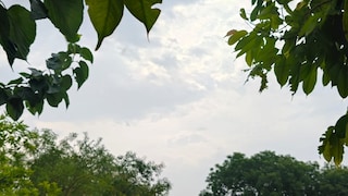 Mathura Weather News: मथुरा में आज मौसम का मिजाज बदलेगा, बादलों की आवाजाही के बीच हल्की बारिश के आसार मथुरा में आज मौसम का मिजाज बदलेगा, बादलों की आवाजाही के बीच हल्की बारिश के आसार
