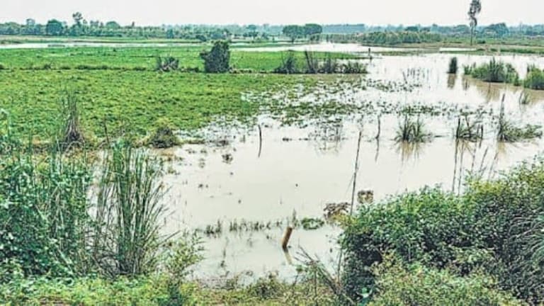 Raebareli Flood News: रायबरेली में गंगा के रौद्र रूप से कटरी में हाहाकार, सैकड़ों बीघा फसलें जलमग्न, ग्रामीणों पर पलायन का खतरा रायबरेली में गंगा के रौद्र रूप से कटरी में हाहाकार, सैकड़ों बीघा फसलें जलमग्न, ग्रामीणों पर पलायन का खतरा