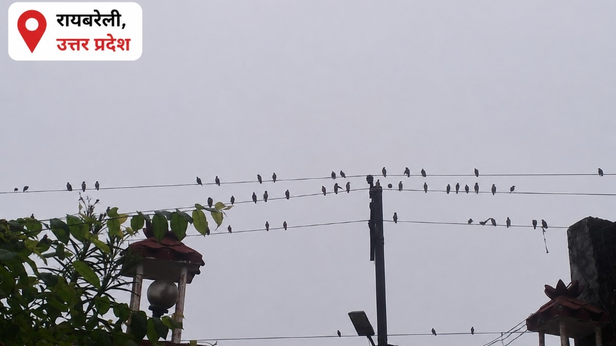 रायबरेली में आसमान में उमड़ रहे मेघ, लेकिन बिन बरसे ही हो रहे ओझल,किसान कर रहे बारिश का इंतजार