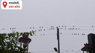 Raebareli Monsoon Weather: रायबरेली में आसमान में उमड़ रहे मेघ, लेकिन बिन बरसे ही हो रहे ओझल,किसान कर रहे बारिश का इंतजार रायबरेली में आसमान में उमड़ रहे मेघ, लेकिन बिन बरसे ही हो रहे ओझल,किसान कर रहे बारिश का इंतजार