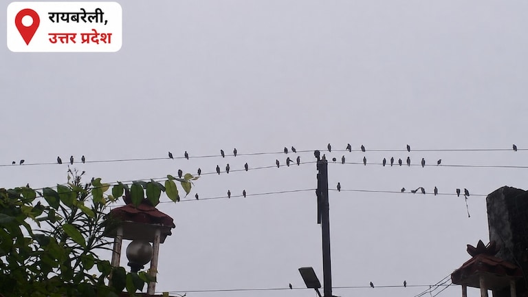 Raebareli Monsoon Weather: रायबरेली में आसमान में उमड़ रहे मेघ, लेकिन बिन बरसे ही हो रहे ओझल,किसान कर रहे बारिश का इंतजार रायबरेली में आसमान में उमड़ रहे मेघ, लेकिन बिन बरसे ही हो रहे ओझल,किसान कर रहे बारिश का इंतजार