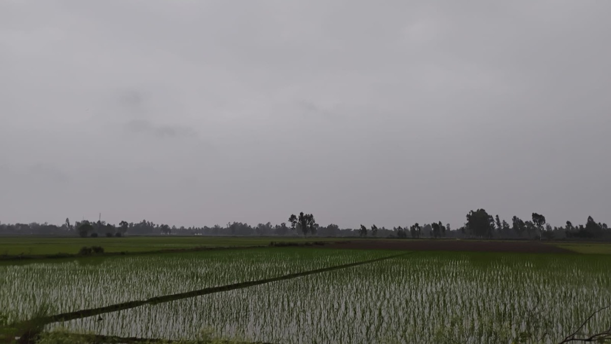 तेज धूप के बाद बरसे बदरा, मौसम हुआ खुशनुमा, किसानों को मिली राहत 