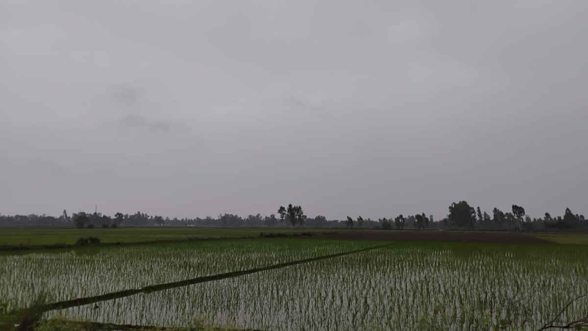 Barabanki Weather 27 July 2026: तेज धूप के बाद बरसे बदरा, मौसम हुआ खुशनुमा, किसानों को मिली राहत तेज धूप के बाद बरसे बदरा, मौसम हुआ खुशनुमा, किसानों को मिली राहत