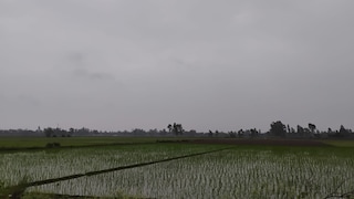 Barabanki Weather 27 July 2026: तेज धूप के बाद बरसे बदरा, मौसम हुआ खुशनुमा, किसानों को मिली राहत तेज धूप के बाद बरसे बदरा, मौसम हुआ खुशनुमा, किसानों को मिली राहत